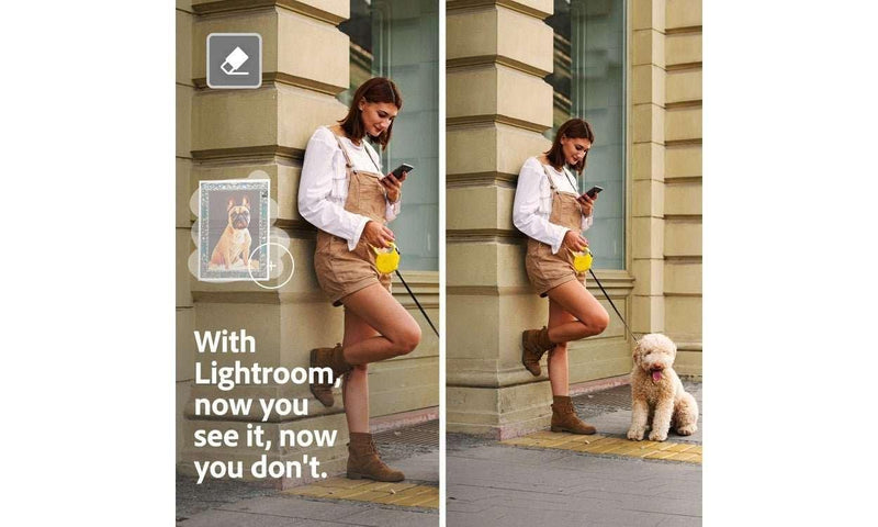 Adobe Lightroom Creative Cloud verwijder mensen en objecten van foto's automatisch